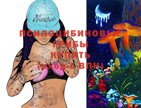 дмт Карпинск