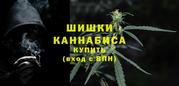 дмт Карпинск