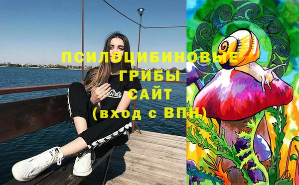 дмт Карпинск