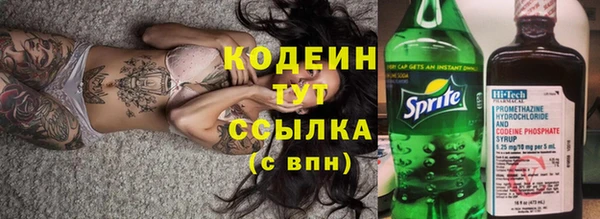 дмт Карпинск