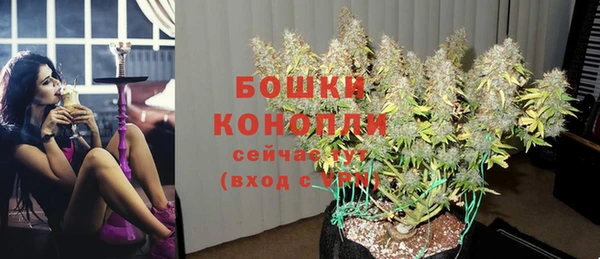 дмт Карпинск